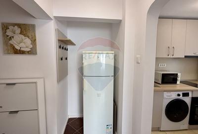 Apartament cu 2 camere semidecomandat, mobilat în Victoriei - 4