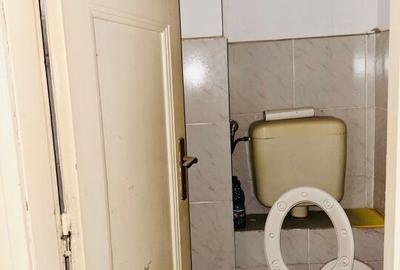 Armeneasca - Bd. Carol I stradal spatiu comercial 54 mp utili - 8