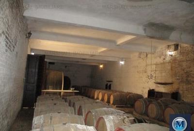 Spatiu comercial de vanzare in Urlati, zona Est, 951 mp #13244 - 9
