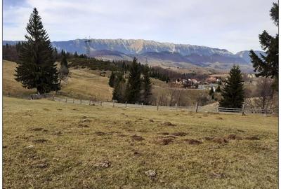 Teren Cu Priveliste Panoramica Si Acces Din Drumul Principal - 6