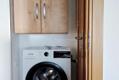 Apartament cu 2 camere în Șega - 9
