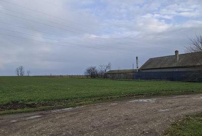 Teren de 3125 mp, în Corbu - 2