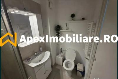 Garsonieră nedecomandată în Timișoara - 6