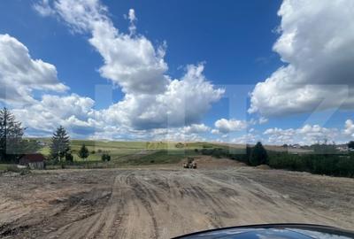 EXCLUSIVITATE! Teren autorizat, 1100 mp, utilitati, Salicea, comision 0 - 3