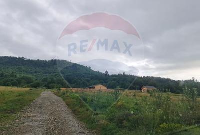 Casa / Vila cu 3 camere de vanzare in zona feerica, langa Manastire - 2