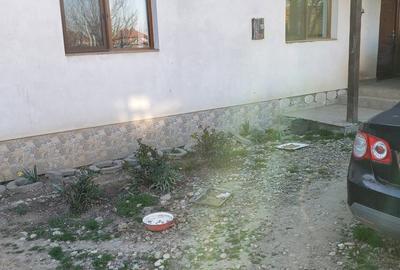 Casă cu 3 camere în Urseni - 1