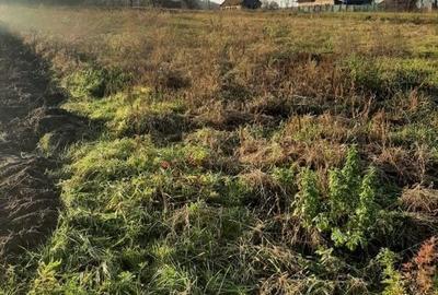 Teren intravilan în Ususău - 2