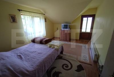 Cabana 3 cam,2 nivele 100 mp+teren extravilan 2,5 ha+1 ha padure,zona Nasaudului - 5