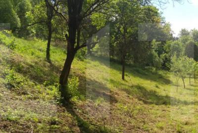 Teren în Micești - 4