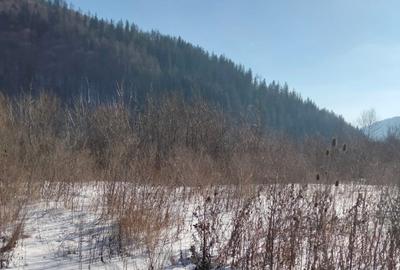 Teren agricol intravilan de 444 mp, în Central - 1