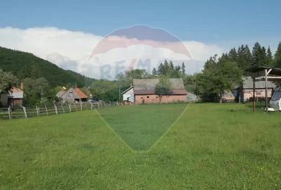 Teren de vanzare - 3.153 mp, Vama Buzaului - Intravilan, cu utilitati - 3