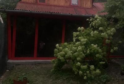 Casă în Aurel Vlaicu - 9