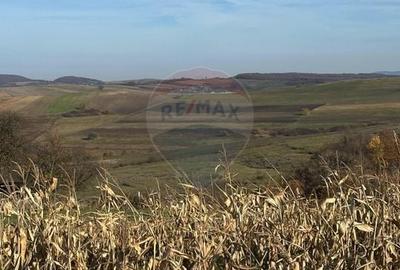 Teren agricol extravilan de 6446 mp, în Bogdand - 2