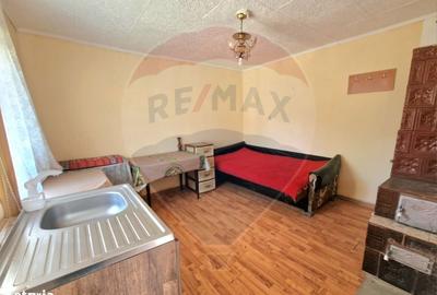 Casă cu 3 camere în Parava - 1
