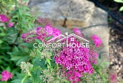 Vila cu arhitectura moderna,  piscina, cartier rezidential, IANCU NICOLAE - 51