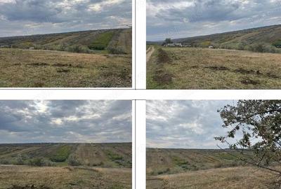 Teren extravilan Perieni, cota parte 6/16 , ID: R2822105 - 2