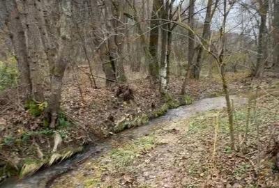 Teren intravilan 6.500 m2Deschidere 144 ml drum european E81, km 35, Moraresti - 1