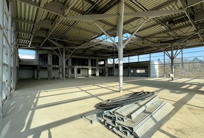 Spațiu industrial, de 35,092 mp, în Valu lui Traian - 8