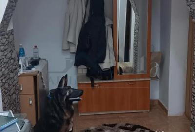 Apartament cu 2 camere decomandat în Tomești - 1