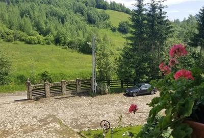 Pensiune 25 camere - In Bucovina! Pensiune 25 camere - In Bucovina! - 13