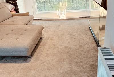 Vila Superba Calea Dumbravii-Parcul Sub Arini - 10