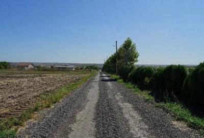 Teren de 5000 mp, în Valu lui Traian - 14