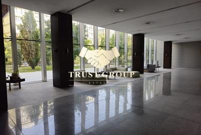 Duplex 3 camere | gradina | 2 locuri de parcare - Arcul de Triumf - 19