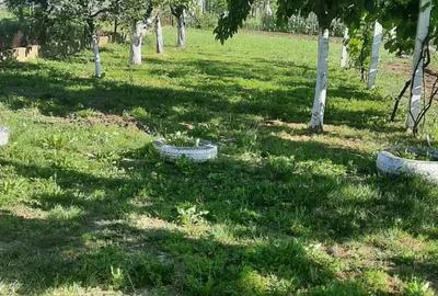 Casă cu 3 camere în Central