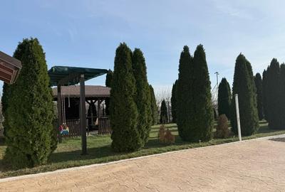 Teren non-agricol 5000 mp cu casă modernă mobilată, hală și garaje automatizate - 2