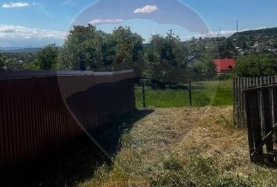 Teren Construcții intravilan de 1193 mp, în Burdujeni - 6