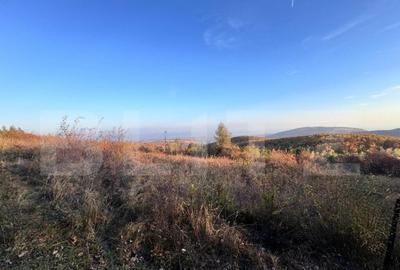 Teren de vanzare - 2