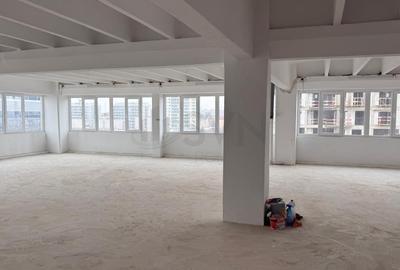 Spațiu comercial, de 366 mp, în Theodor Pallady - 10