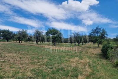 Teren intravilan pentru constructii de vanzare in Iris, Cluj Napoca - 4