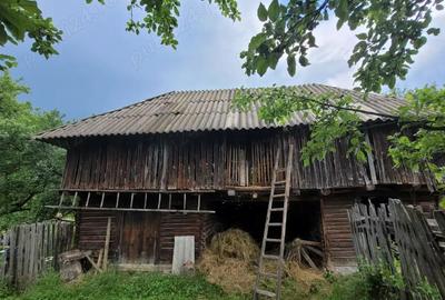 Teren de 800 mp, în Corbi - 9