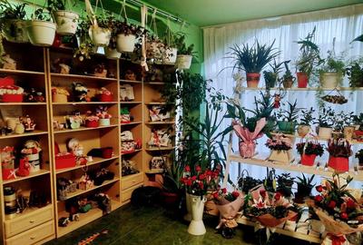 Casa de vanzare in Cristur Str. Uli?a Mare nr. 43 - 12