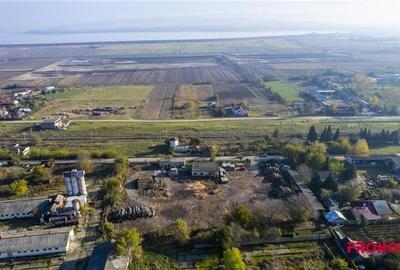 Racaciuni - teren intravilan 6.886mp - hale in suprafata de 265mp Racaciuni - teren intravilan 6.886mp - hale in suprafata de 265mp - 2