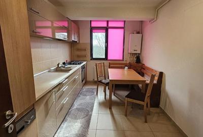 Apartament cu 2 camere decomandat în Ozana - 1