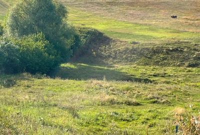 Persoana fizică vând în Chicerea 1200 mp intravilan cu deschidere la DN 44 de 21 - 1