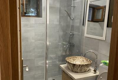 Apartament cu 2 camere nedecomandat în Obor - 2