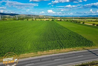 FILM! 30.200 mp teren intravilan,recomandat: investitie/exploatare agricola,Vale - 2