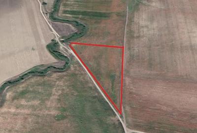Teren de 28500 mp, în Dobrovăț - 4