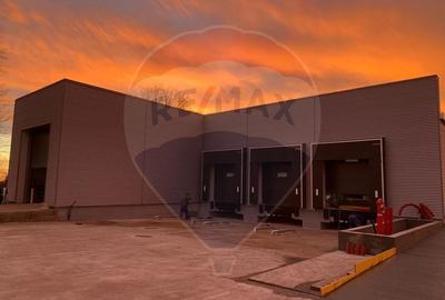 Spatiu industrial, hala moderna Fundulea - acces la calea ferata - 16