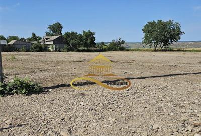 Teren la strada principala - E85 - DE INCHIRIAT - OFERTA! - 3