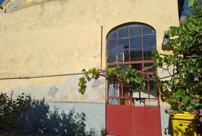 Casa spatioasa cu spatiu comercial pe colt in Nadlac - 5