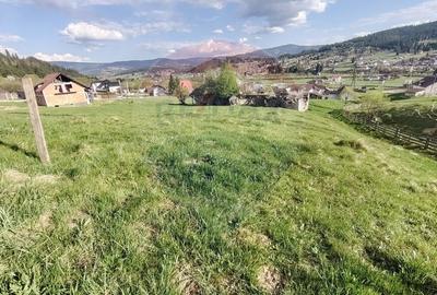 Teren 2,421mp Vatra Dornei / Strada Chilia - 8