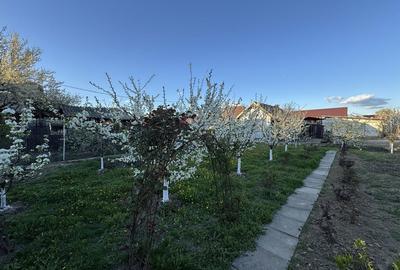 Casă cu 4 camere în Ceauru - 8