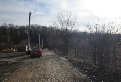 Domnesti-Teghes-Padure - 5