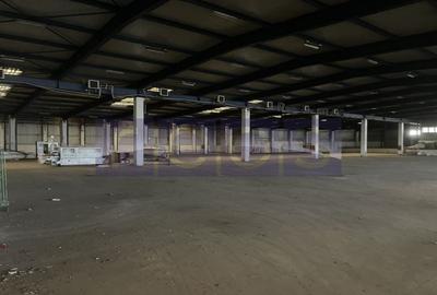 INCHIRIERE HALA | DEPOZIT - OTOPENI CENTURA  |  20.0000 MP - 12