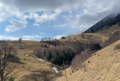VÂNZARE TEREN CU POTENȚIAL DE DEZVOLTARE ÎN ZONA TURISTICĂ MAGURA-PESTERA - 3