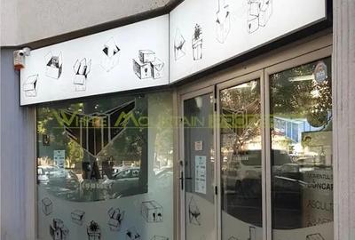 Ion Mihalache, spatiu comercial 240 mp - 1